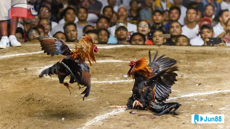 Kiểm tra sức khỏe định kỳ