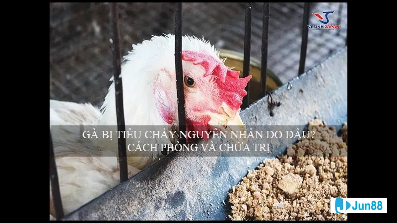 Phương pháp dân gian chữa bệnh Phương pháp dân gian chữa bệnh