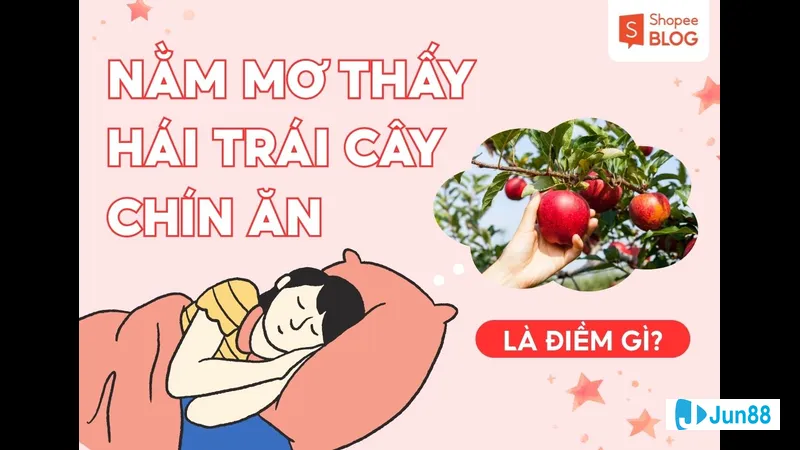 Con số may mắn liên quan đến trái