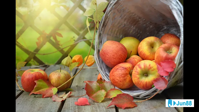 Quả táo tròn và đỏ rực, trên nền