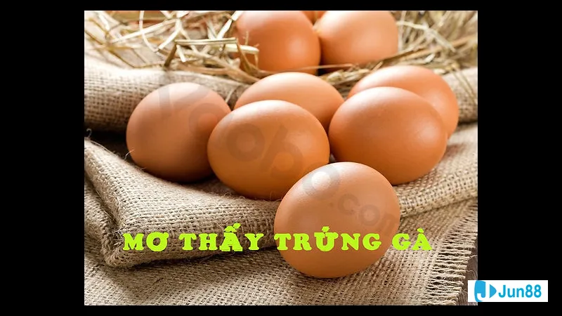 Trứng gà vỡ trong giấc mơ