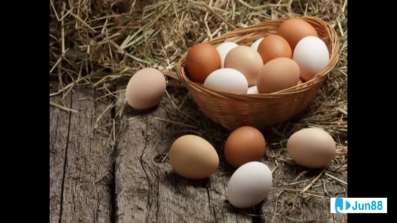 Trứng gà đậm màu trên nền đen