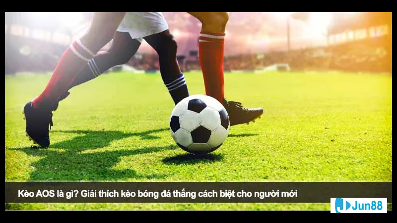 Cách đặt cược và tính điểm thưởng trong