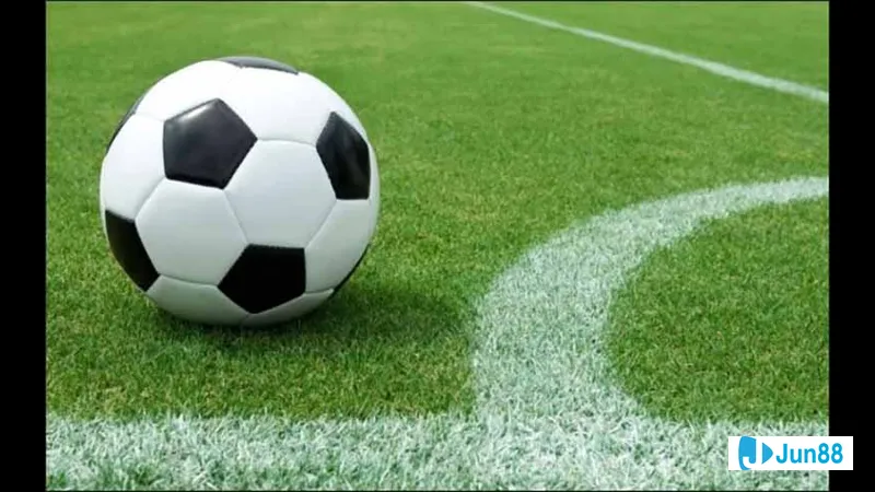 Minh họa cho Ví dụ minh hoạ về