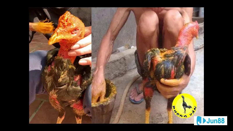 Chuẩn bị dụng cụ và hỗn hợp