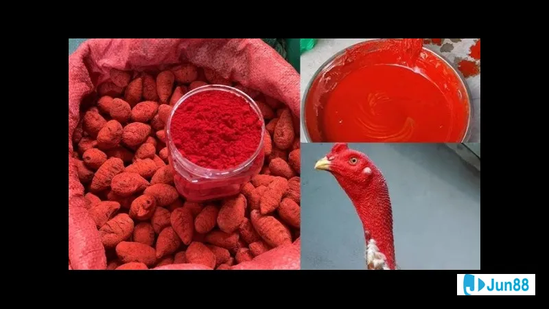 Những bước nhẹ nhàng trong thiên nhiên